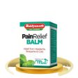 Baidyanath Jhansi Pain Relief Balm For Sale